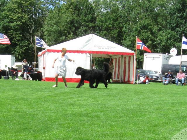 Фотография № 16147