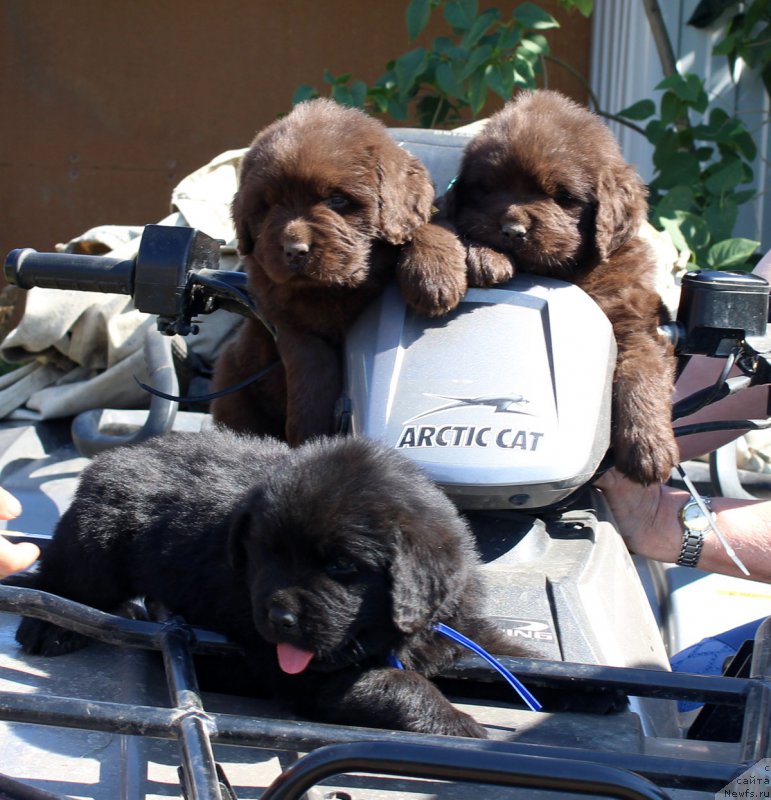 Фотография № 161480