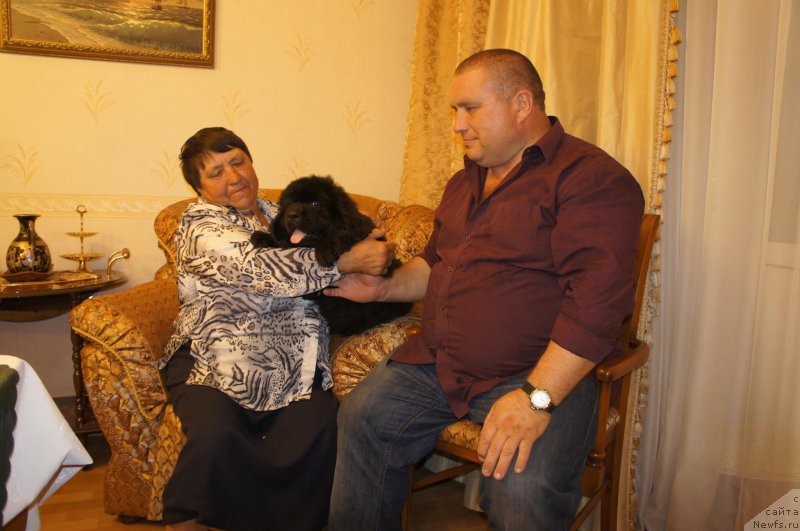 Фотография № 161489