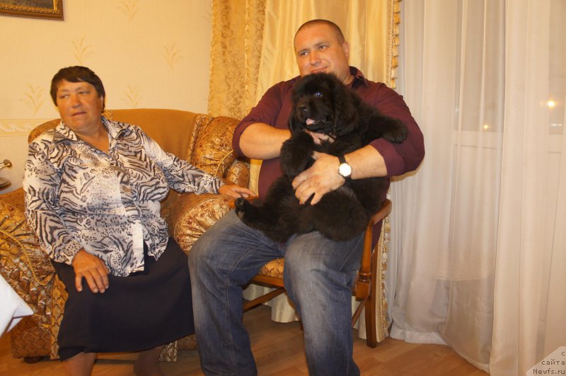 Фотография № 161494