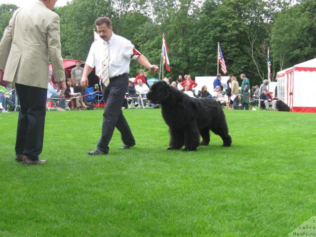 Фото: Ustinov Sir Peter Bar Vom Gelderlan
