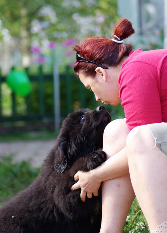 Фотография № 161524