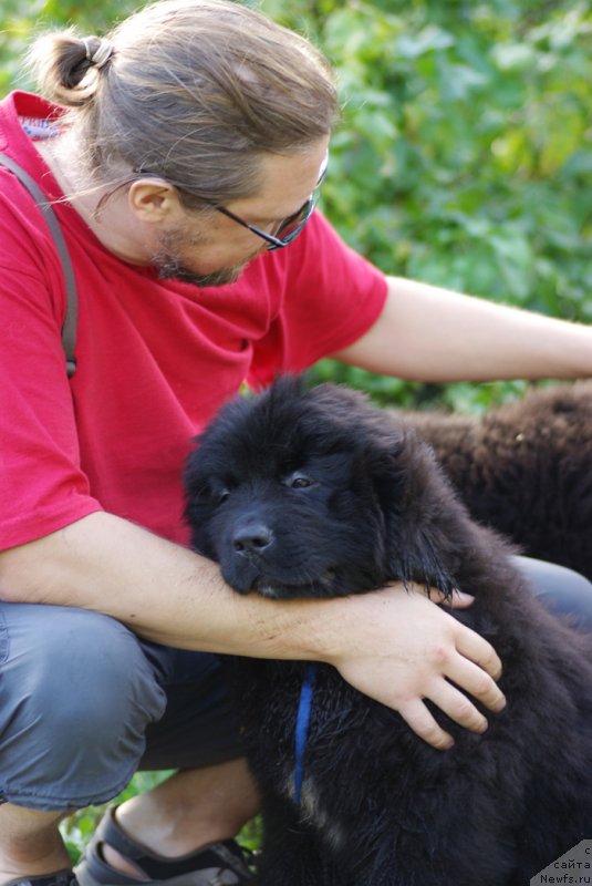 Фото: Бегущая по волнам Чойс Оф Фибоначчи