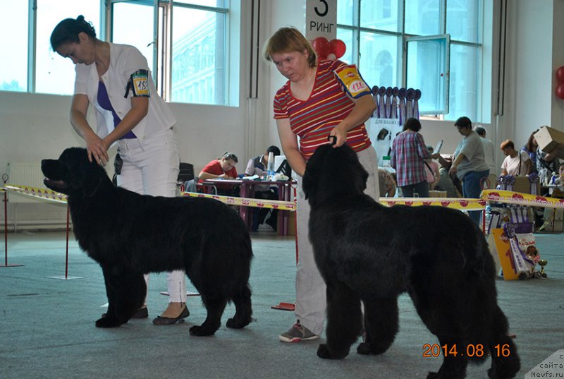 Фотография № 161527