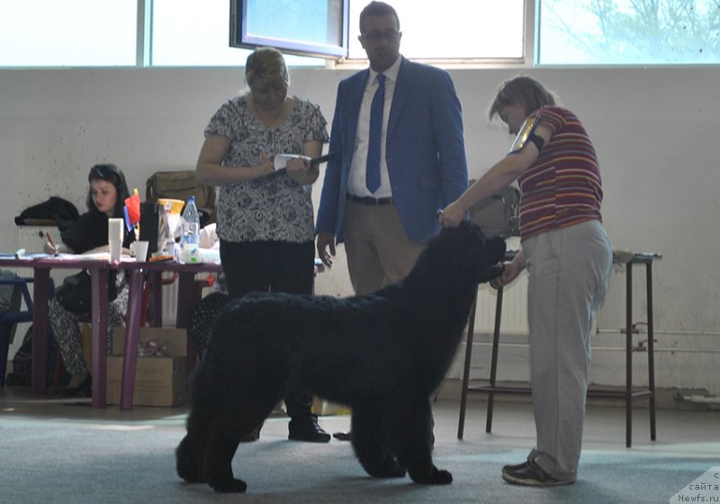 Фотография № 161530