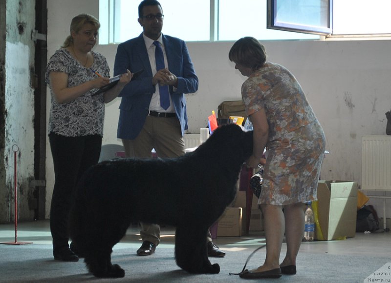 Фотография № 161535