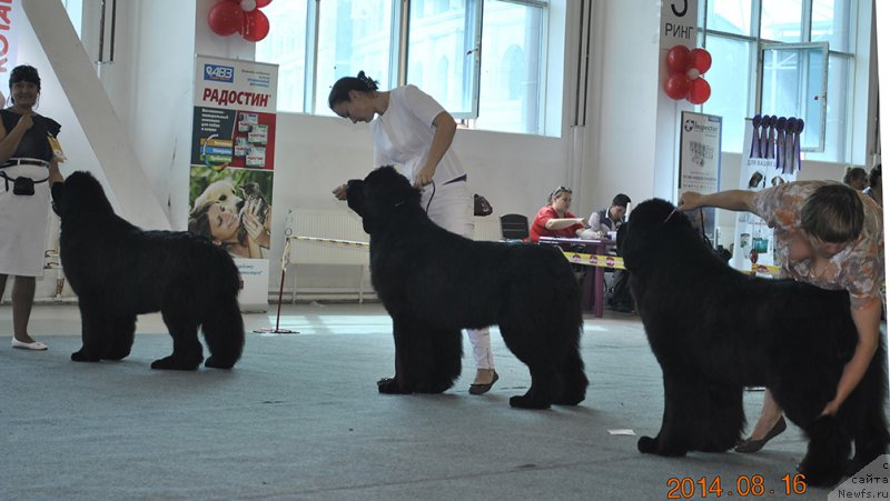 Фотография № 161541