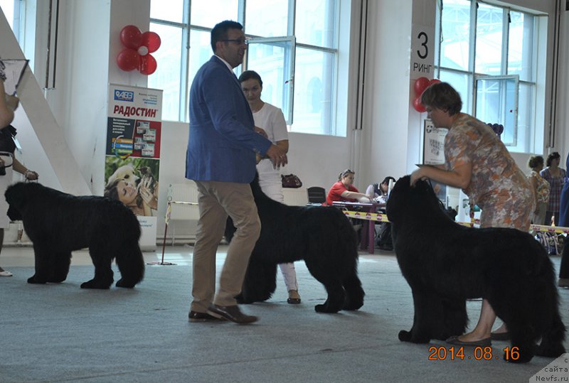 Фотография № 161542