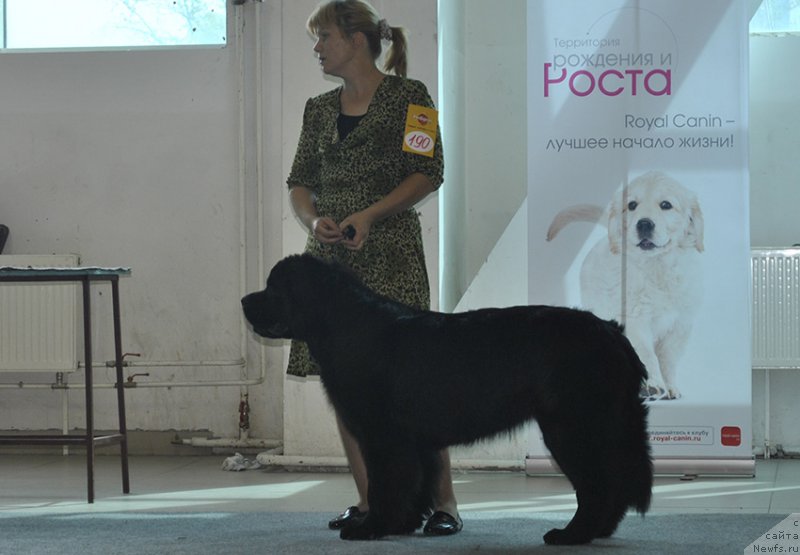 Фотография № 161543