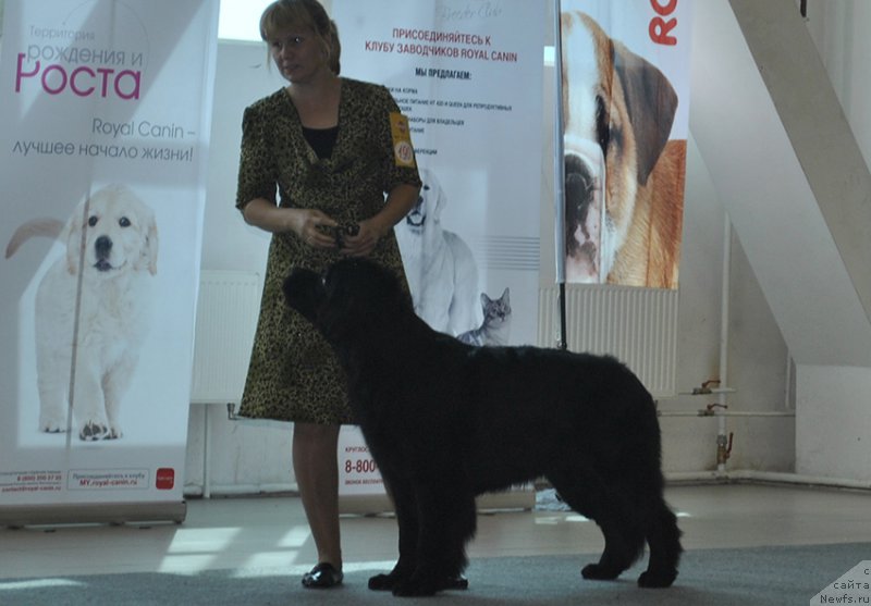 Фотография № 161544