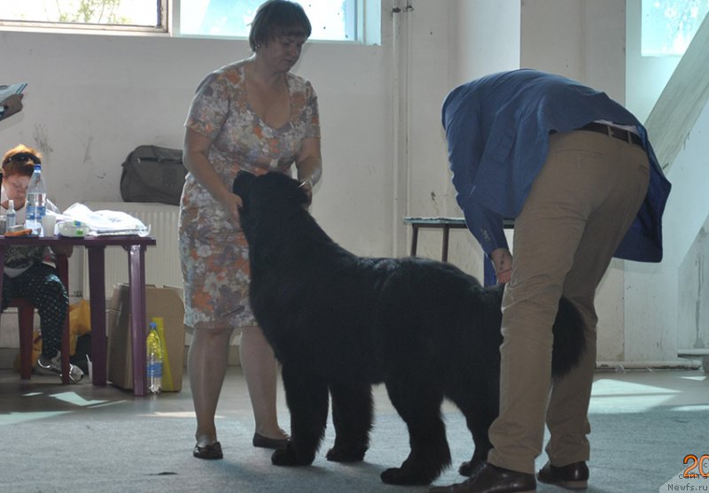 Фотография № 161545