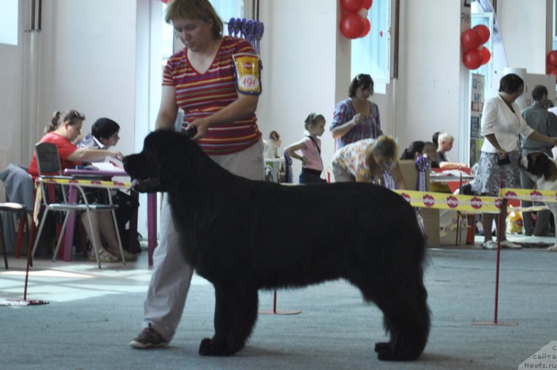 Фотография № 161548