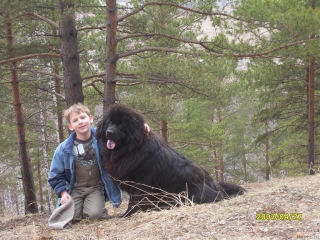 Фотография № 16155