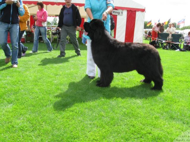 Фотография № 16158