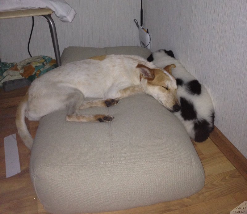 Фото: Ольга Гаврилюк