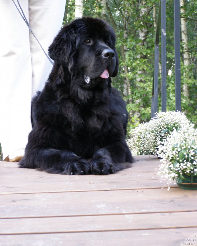 Фотография № 161589