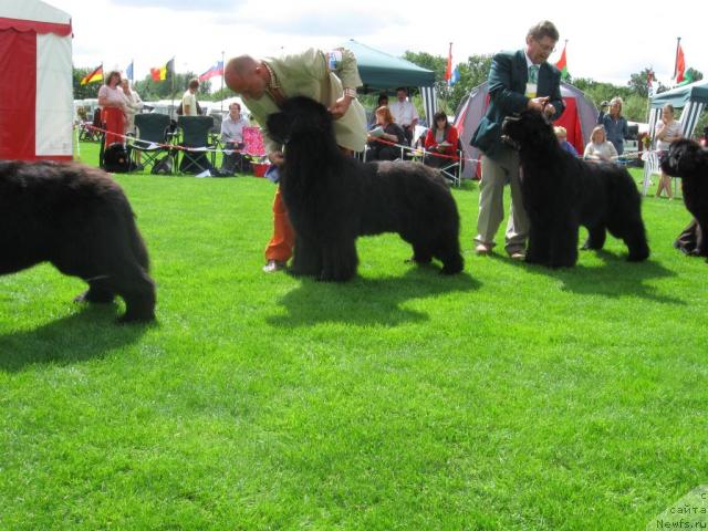 Фотография № 16160