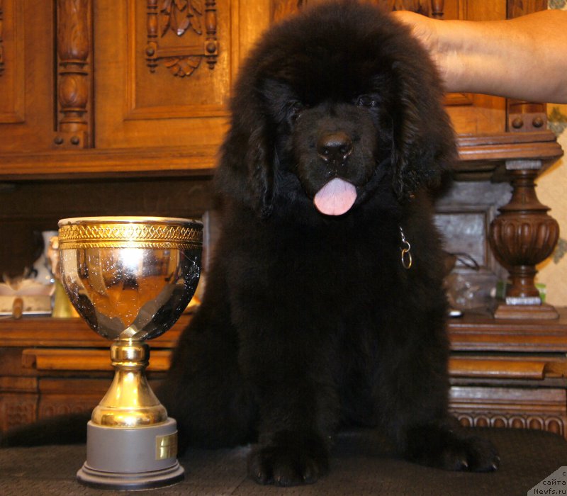 Фотография № 161603