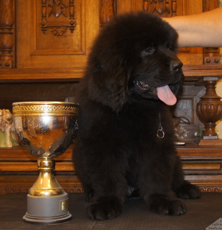 Фотография № 161605