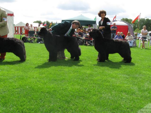 Фотография № 16161