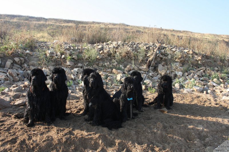 Фотография № 161615