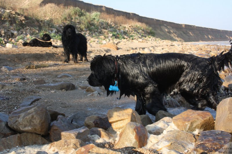 Фотография № 161616