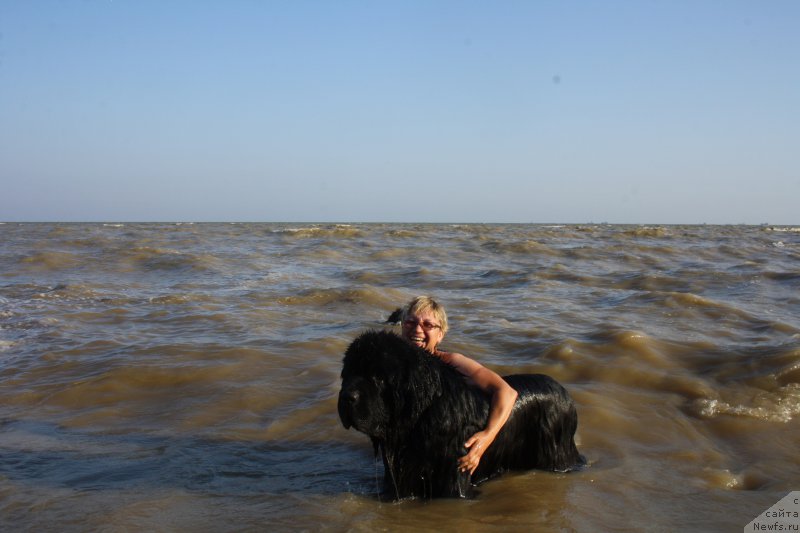 Фотография № 161618