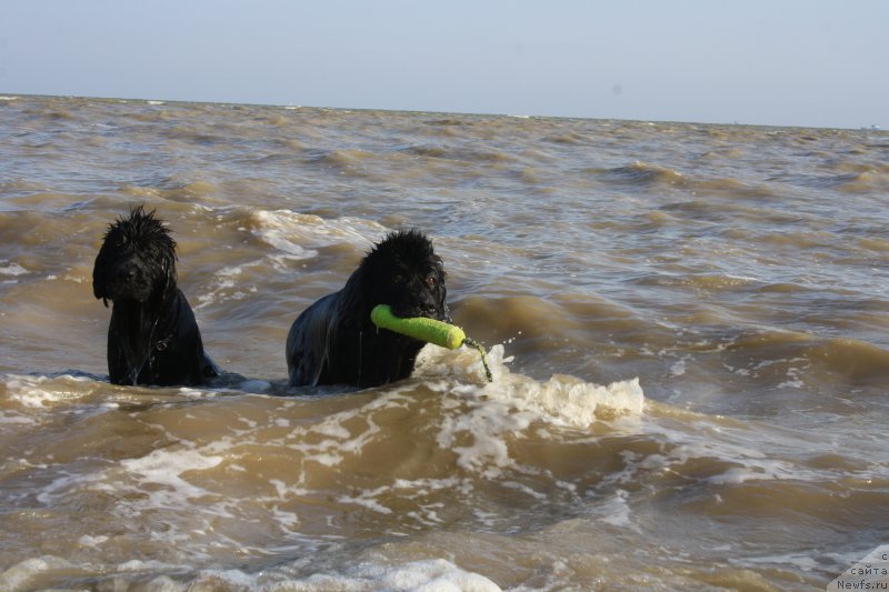 Фотография № 161619