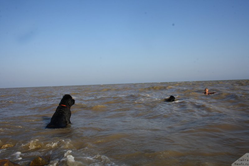 Фотография № 161620