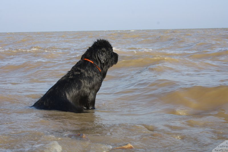 Фотография № 161621