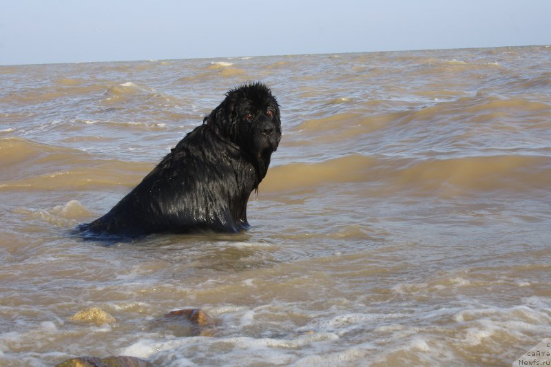 Фотография № 161622