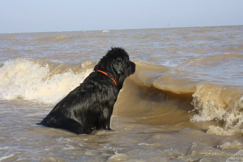 Фотография № 161623