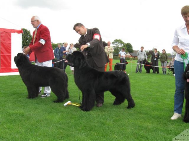 Фотография № 16164