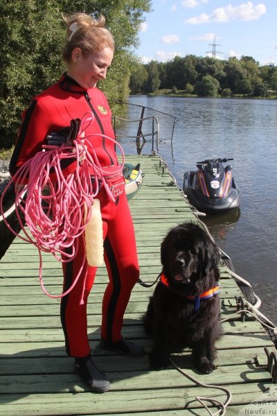 Фотография № 161640