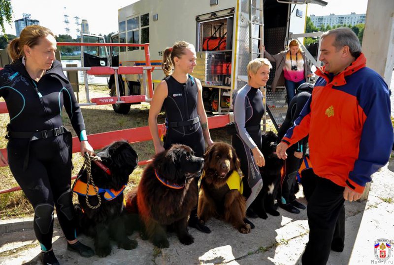 Фотография № 161667