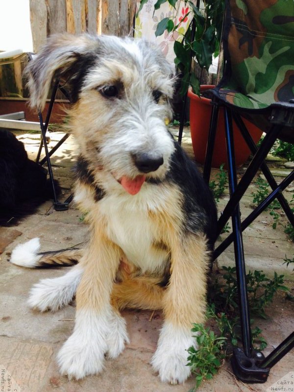 Фотография № 161714