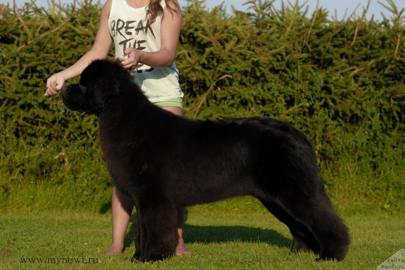 Фотография № 161739