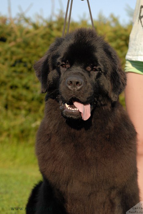 Фотография № 161741