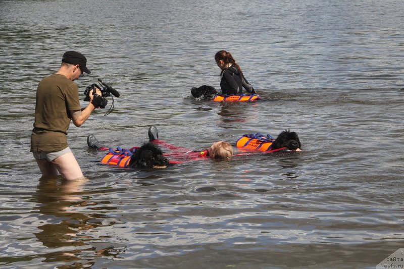 Фотография № 161748