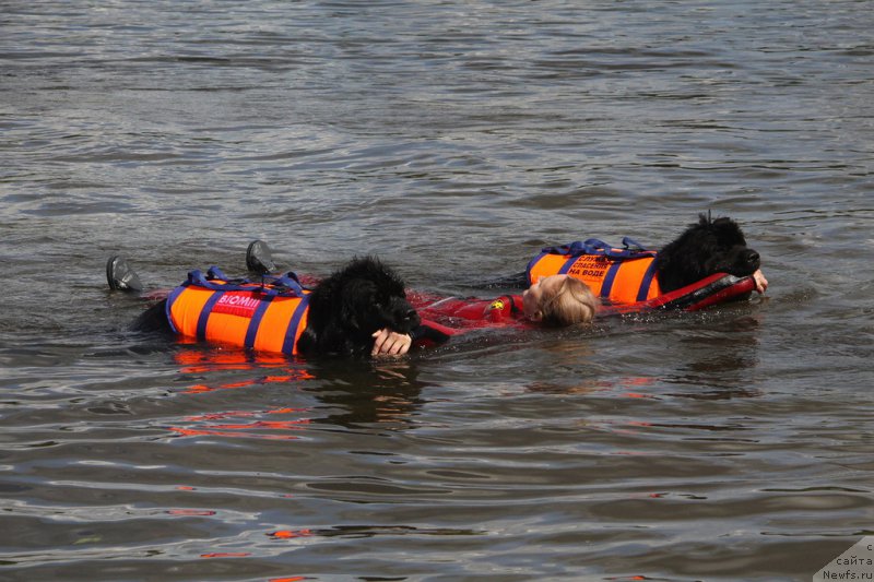 Фото: Ольга Музычук