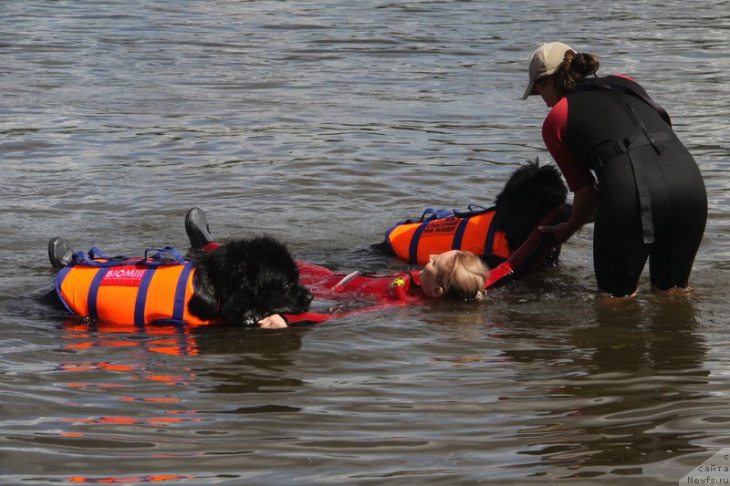 Фото: Ольга Музычук