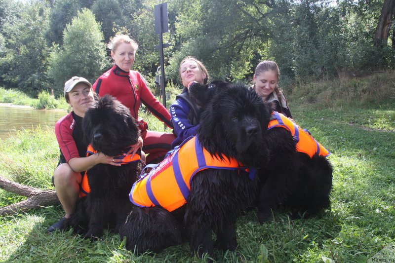 Фотография № 161752