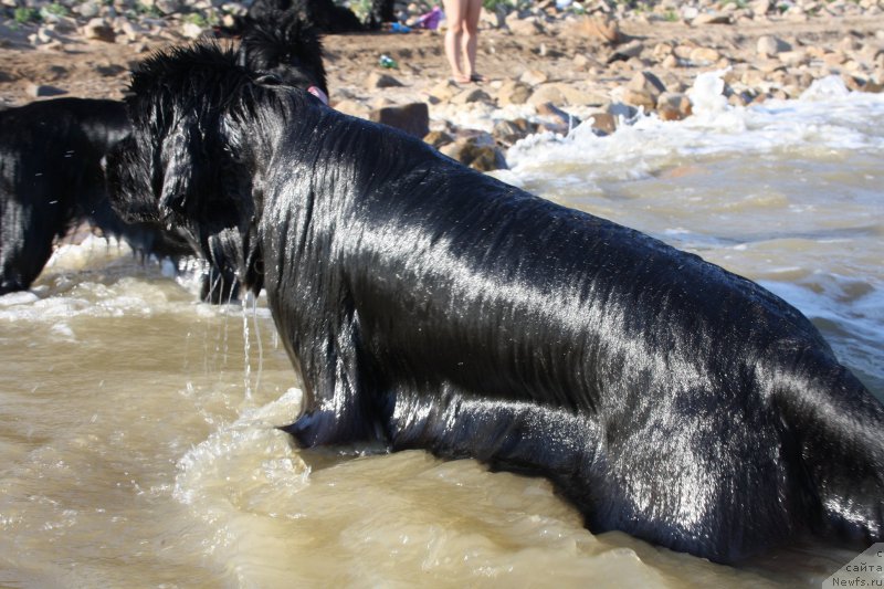 Фотография № 161757