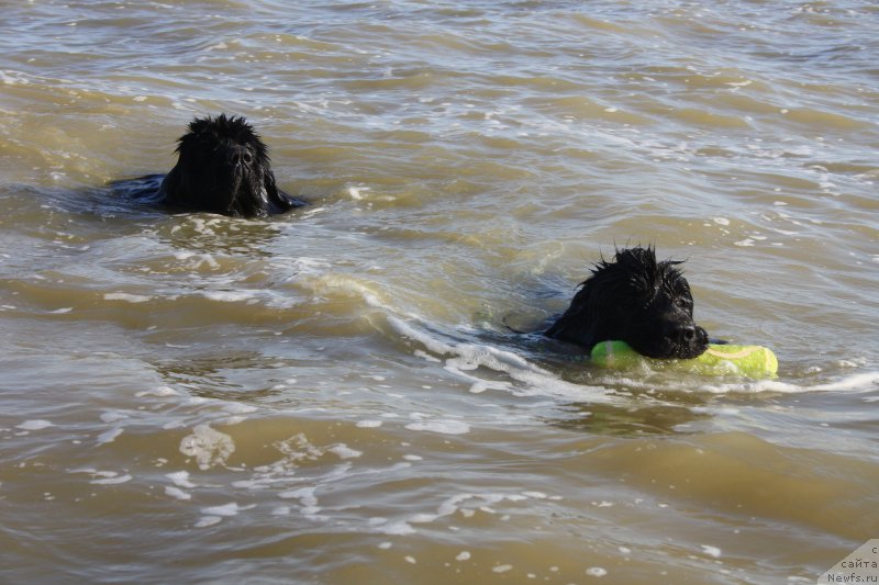 Фотография № 161758