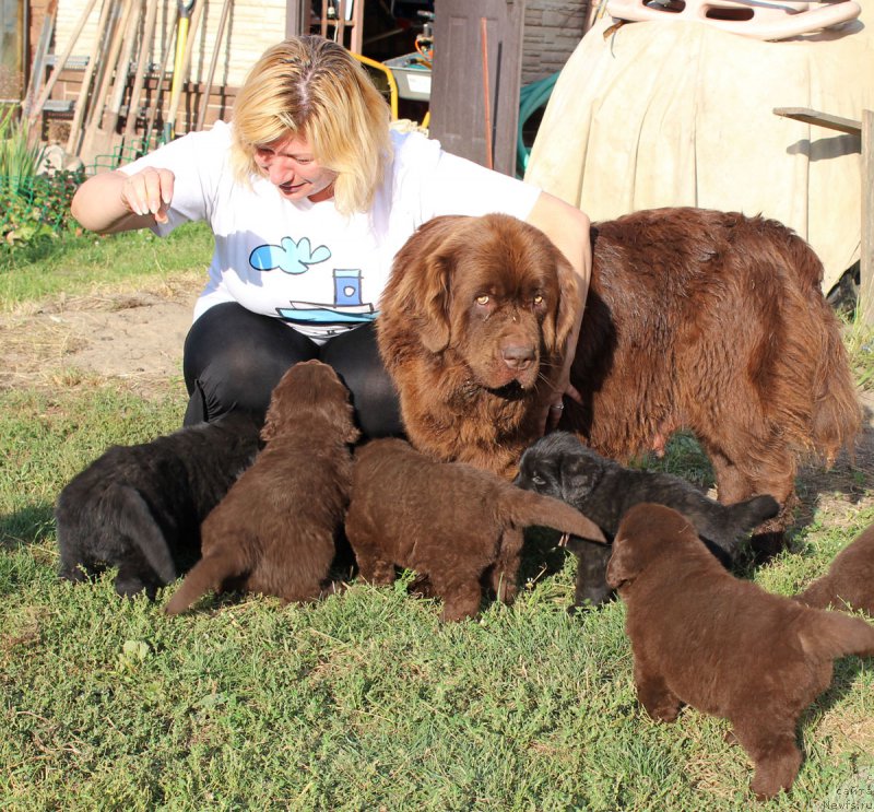 Фотография № 161764