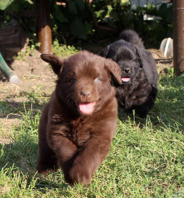 Фотография № 161768