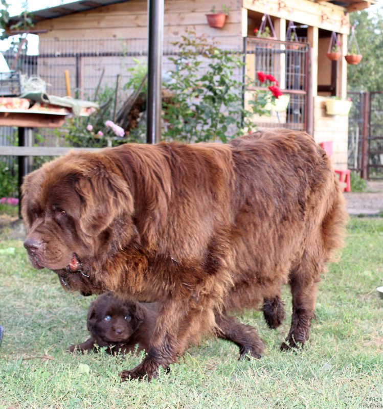 Фотография № 161773