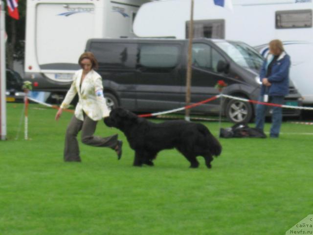 Фото: Beguschaya po volnam Samo Sovershenstvo