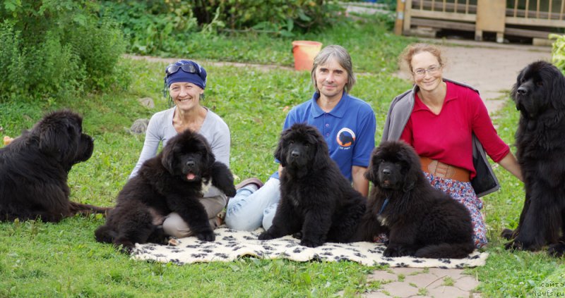 Фото: ньюфаундленд Бегущая по Волнам Дансинг Квин (Beguschaya po Volnam Dancing Queen), ньюфаундленд Бегущая по Волнам Харизма (Beguschaya po Volnam Harizma), Ольга Королева, [p1960]  и щенки Маруси и Макса