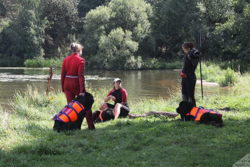 Фотография № 161793